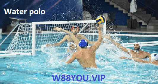 What is the definition of Water Polo? 