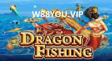 What is Dragon Fishing? 