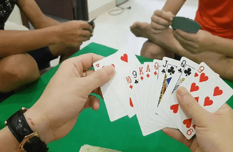 Learn about the card game Tien Len
